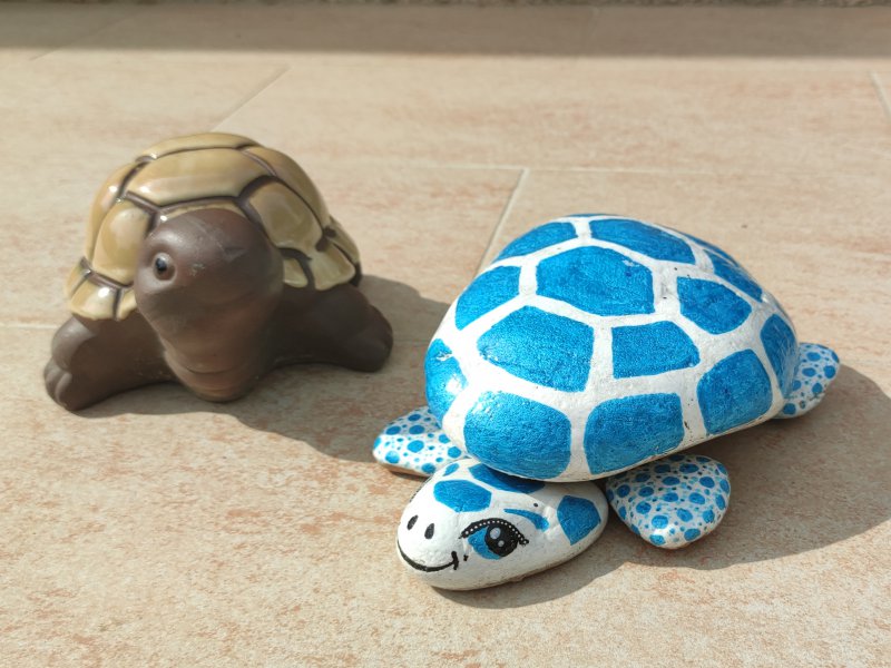 Comment réaliser une tortue en galets peints ?
