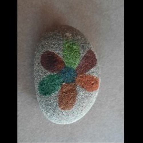 Serendipity : a flower on rock