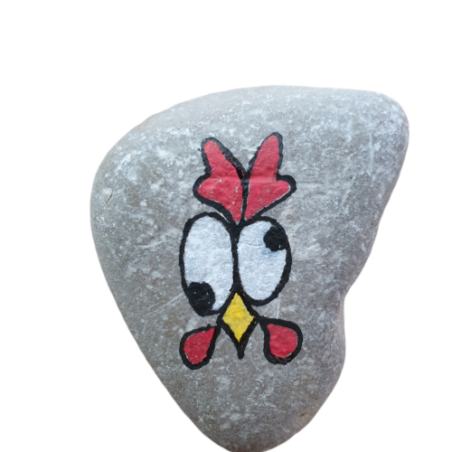 Chicken on rock
