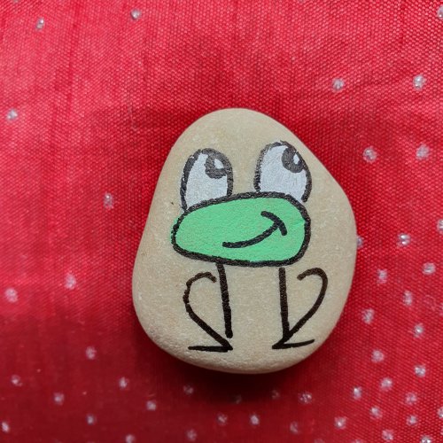 Frog on rocks