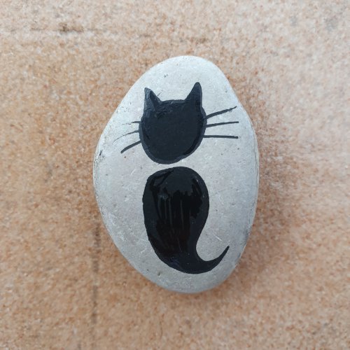 Chat noir