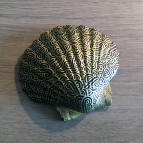 Savousépate Scallop shell