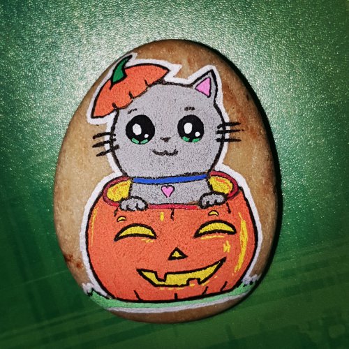 Cat\'n pumpkin