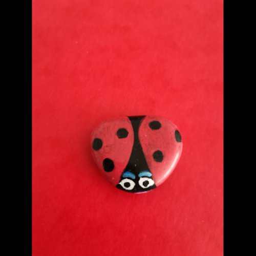 Galette06 Ladybug