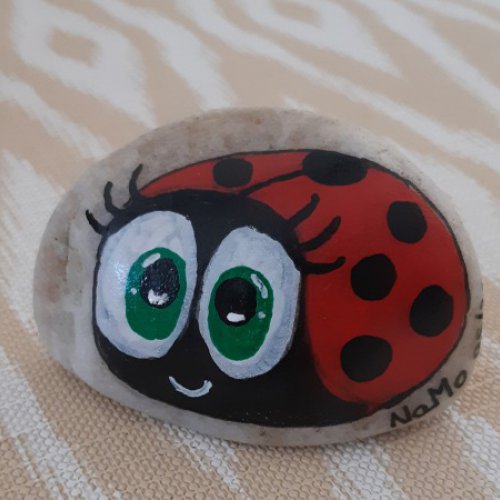 NaMo Ladybug