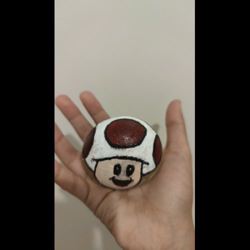 Supergirlz Capitaine Toad