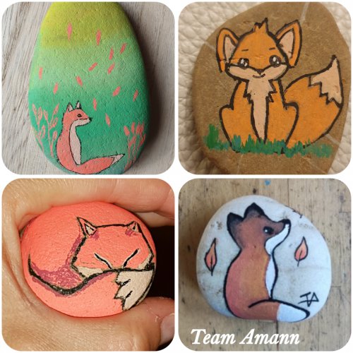 Fox drawing - Rock painting