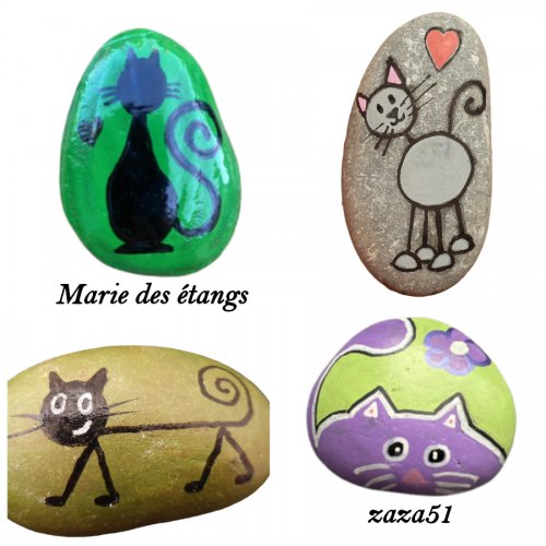 Animal Chat Gale t ries Jeu Des Galets D corez Cachez Suivez 