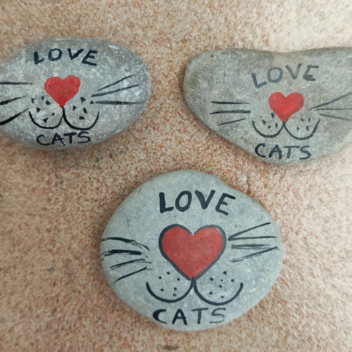 Love cats on rock