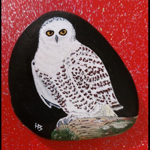 hbilr snowy owl
