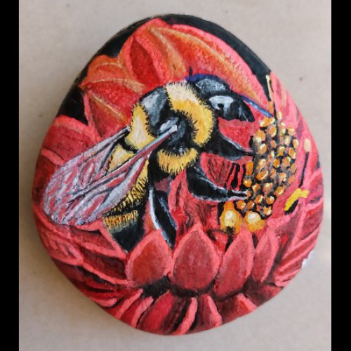 hbilr Bee in red flower - Rock Painting