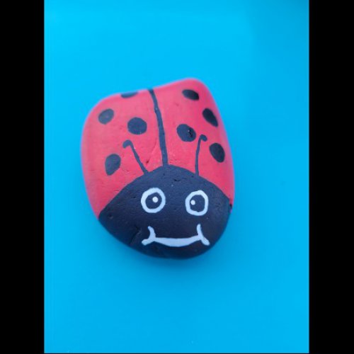 Ethan-Dborah Ladybug
