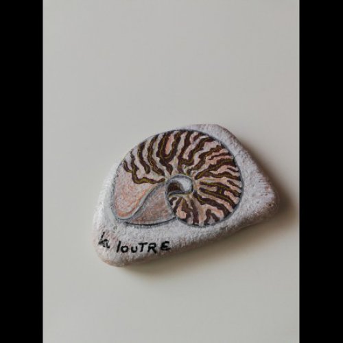 Creator 1772 shell drawing on rock