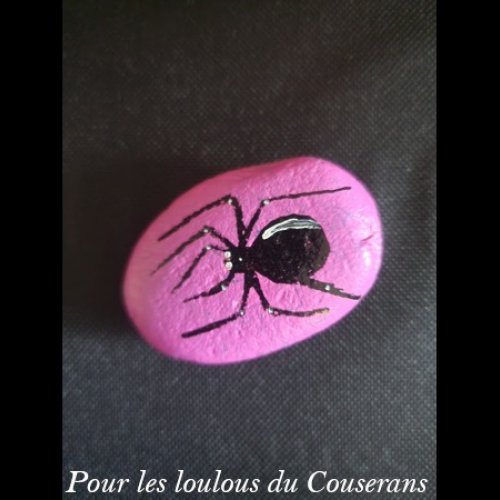 Pour les loulous du Couserans Spider