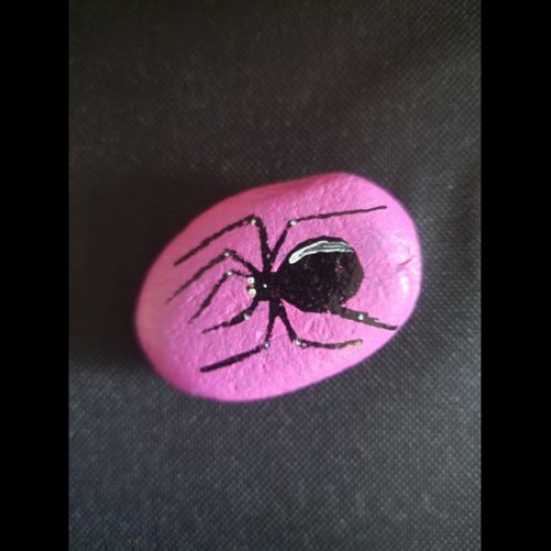 Pour les loulous du Couserans Spider