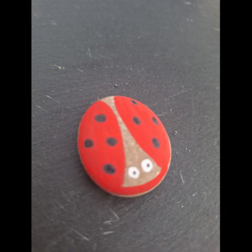ECOLEAULNOIS mini cocci