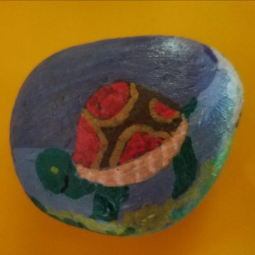 @38 tortue