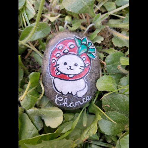 J\'aime et gemmes