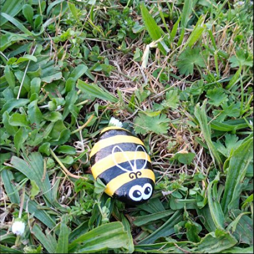 Cléo69 bee