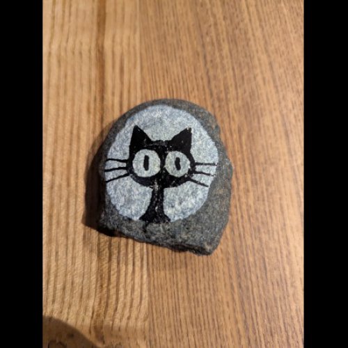 Mercredi38 a cat