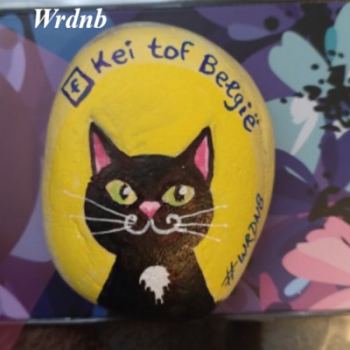 Wrdnb Chat Kei tof Belgie