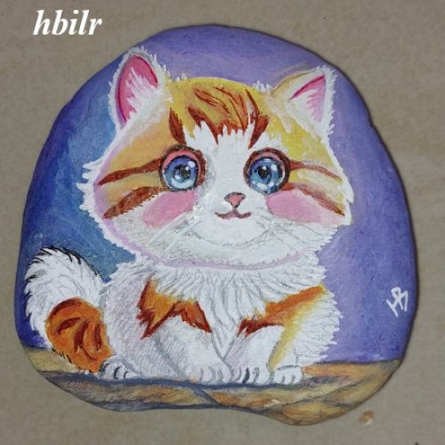 hbilr White ginger kitten