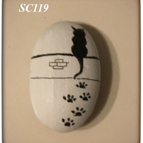 SC119 cat on a wall