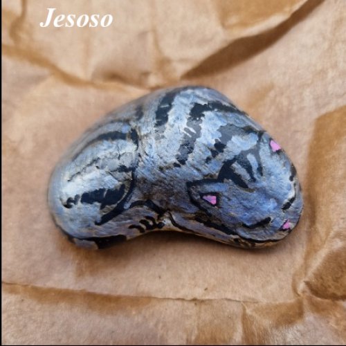 Jesoso Sleeping cat
