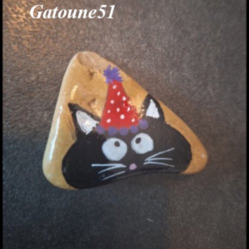 Gatoune51 Funny black cat