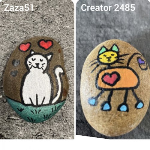 Animal : cat