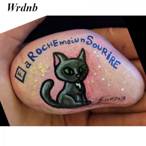 Wrdnb Chat, aROCHEmoiunSOURIRE