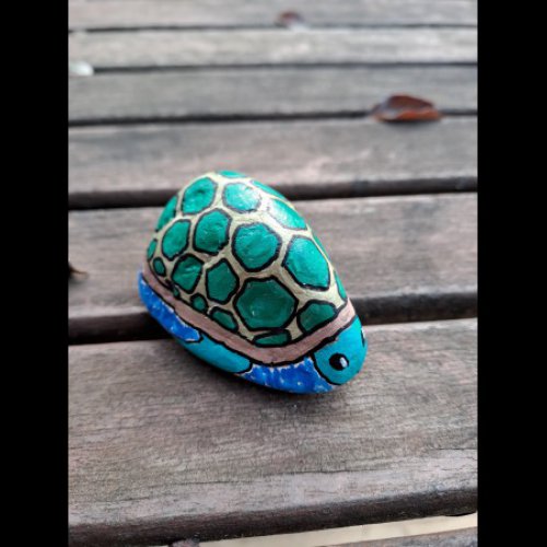 MagLuL Tortue