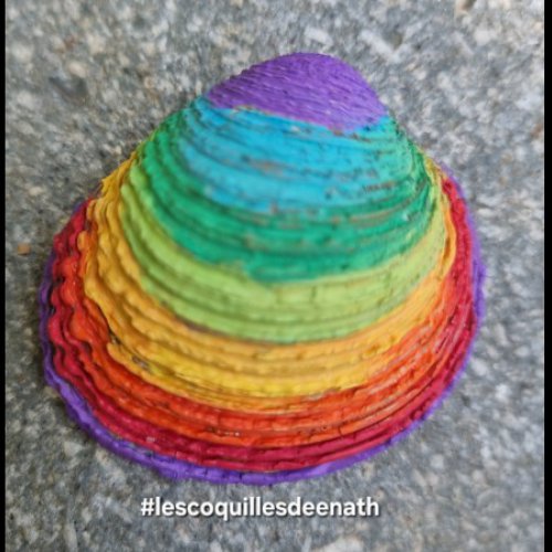 LesgaletsdeNath Shells in rainbow colours