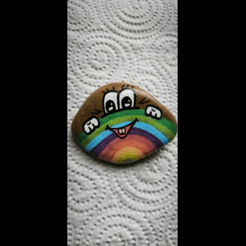 Miss marmotte Mister Rainbow
