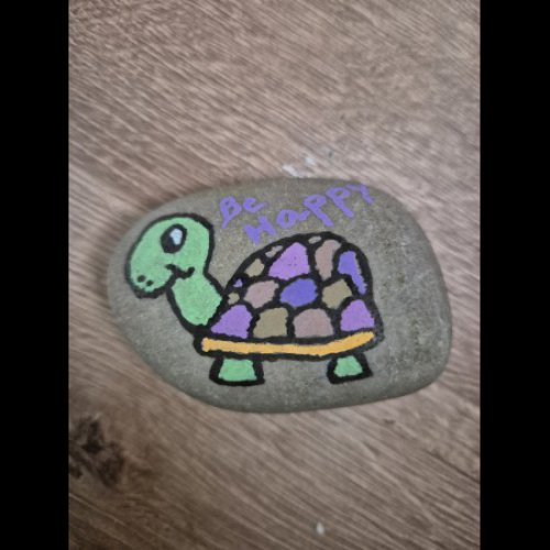 Ludivine turtle