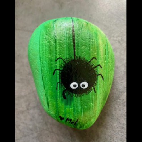 Melb38 Cute Spider