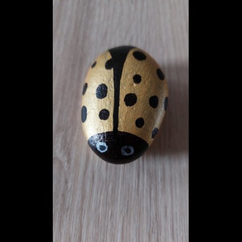 Fafalou Ladybug