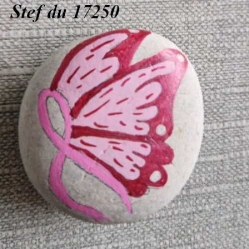 Stef from 17250 Butterfly for Pink October