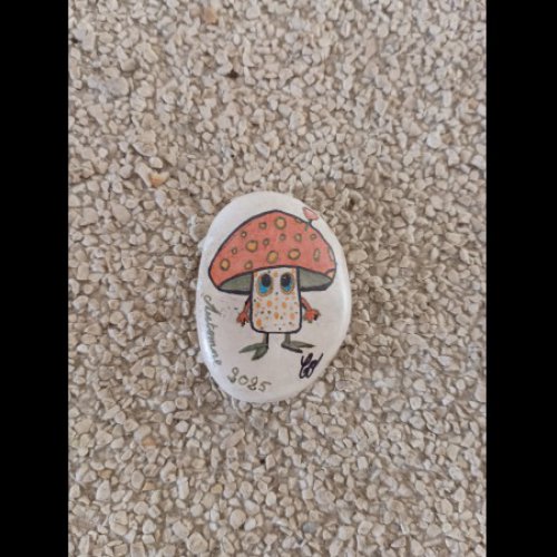 Coco974 Mushroom