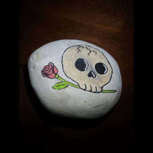 Roxy Rose petal