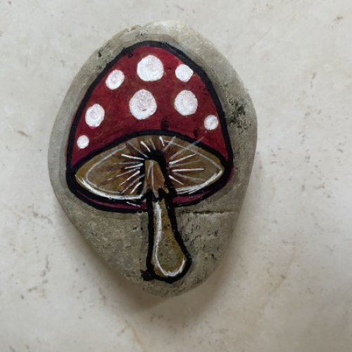 manu26decoeur mushroom