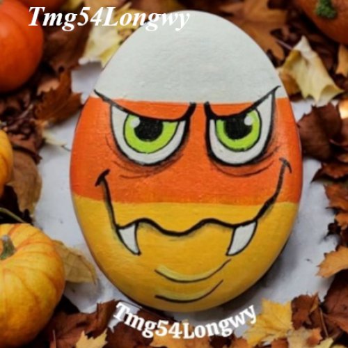 Tmg54Longwy Halloween Painted Rock