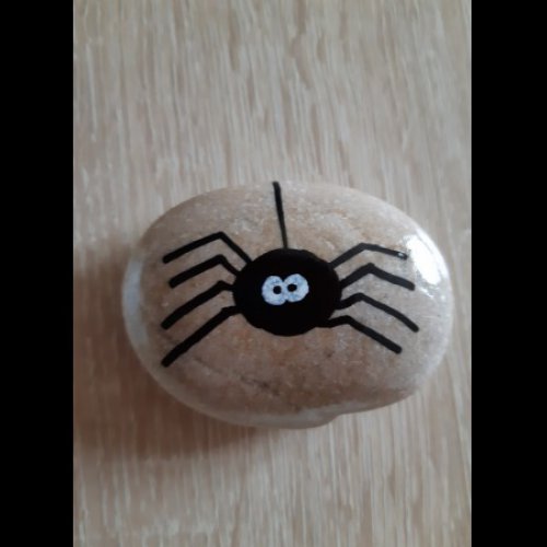 ChrisM26 Spider