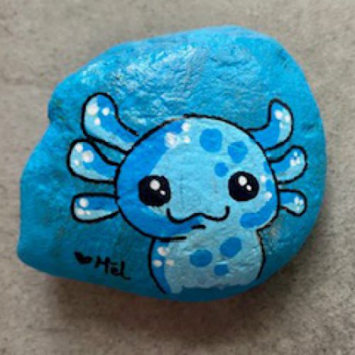 Melb38 Axolotl trop mignon