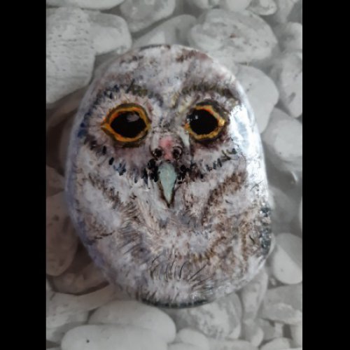 ChrisM26 Owl