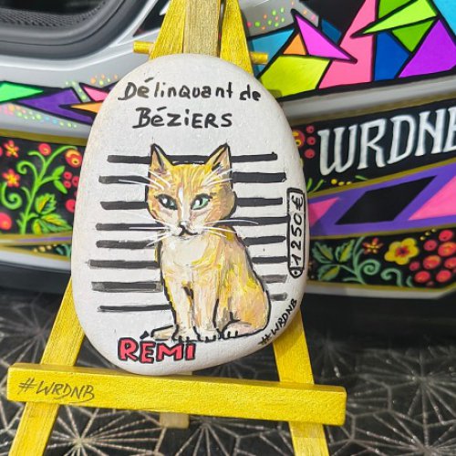 Wrdnb Remi the offender from Bziers 0111