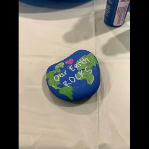 SEL Rocks My Earth ROCKS