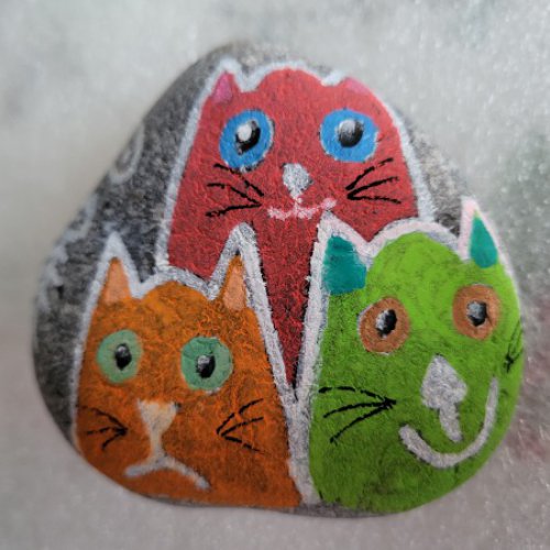 Yael Myrtille Pablo Family Cat