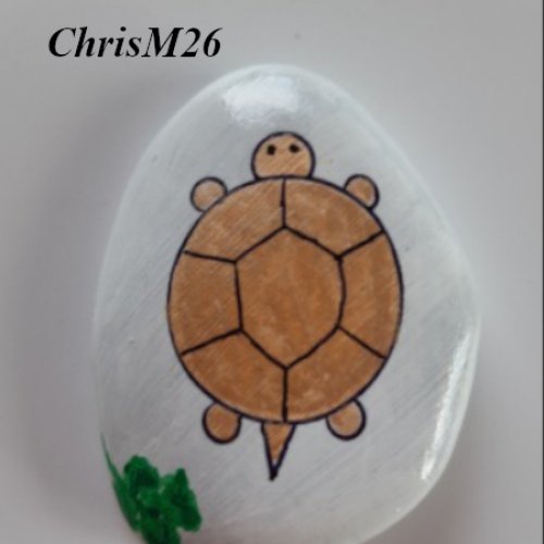ChrisM26 Easy little turtle