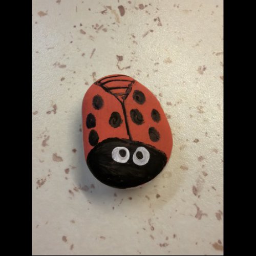 Apolline_Pinks Seals Coco la coccinelle !